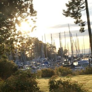 Meet your Posher, Cimmy